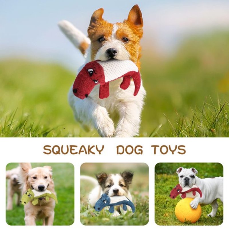 Squeaky Toys for Puppies, Value 3 Pack Set of Dog Chew Toy for Teething Chewing and Playtime