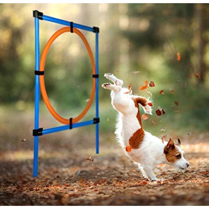 Dog Agility Course Equipments, Obstacle Agility Training Starter Kit for Doggie, Pet Outdoor Games