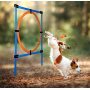 Dog Agility Course Equipments, Obstacle Agility Training Starter Kit for Doggie, Pet Outdoor Games