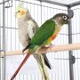 Wrought Iron Standing Large Flight King Bird Cage with stand metal