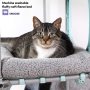 3 Accessory Sets Cat Scratch Furniture With Cushion Use It Indoor  For Home Furniture