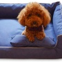 waterproof skid-proof removable washable rectangle cover dog bed mat sofa