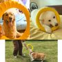 Dog Huge Training Rings for Outdoor Fitness Floating Pulling Toy and Flying Disc Interactive Play Tool