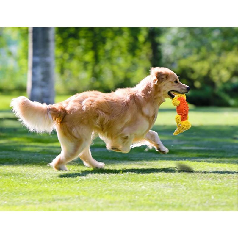 Squeaky Plush Dog Toys Durable Rubber Treat Dispensing Dog Chew Toy with Squeaker Puppy Teething Toys for Boredom Playing