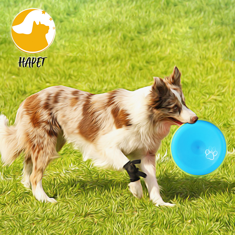 Dog Flying Disc Lightweight Flying Disc Dog Toy for Dogs