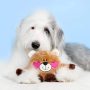 Holiday Brainey Squeak Plush Dog Toy Bear in Love