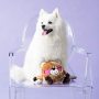Holiday Brainey Squeak Plush Dog Toy Bear in Love