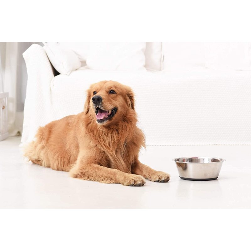 Anti-Slip  Stainless Steel Bowl Set of Dog