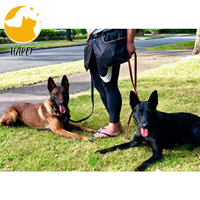 Dog pet Training Utility Belt kilt training skirt with large pockets zip pocket dog treat pouch holder