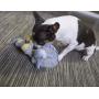 Popular Attractive Dinosaur Chewing Guard Technology Plush Dog Toy Squeaky Dog Plush Toy