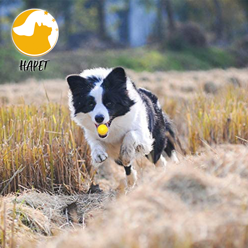 Rubber Slow Feeder Pet Interactive Dog Ball Training Nontoxic Bite Resistant Toy Dog Food Treat Feeder