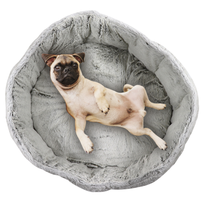 Small Dog Bed for Small Dogs Washable Cat Bed for Indoor Cats Round Super Soft Plush