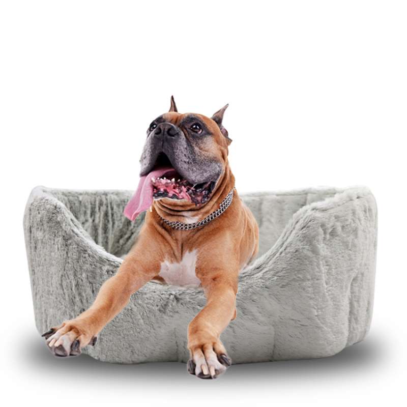 Small Dog Bed for Small Dogs Washable Cat Bed for Indoor Cats Round Super Soft Plush