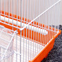 Gabbia per uccelli, accessori per animali domestici, gabbia in metallo - Gabbia per uccelli pappagalli e parrocchetti di medie dimensioni