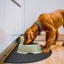 Non-Slip Silicone Cat Dog Feeding Bowl Mat Pet Food Mat