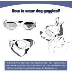 Windproof Motorcycle Dog Glasses Medium UV Protection Protection Adjustable Bulldog Sunglasses