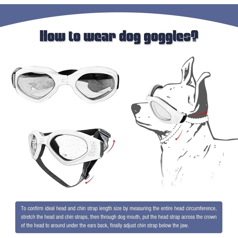 Windproof Motorcycle Dog Glasses Medium UV Protection Protection Adjustable Bulldog Sunglasses