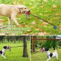 Dog-tug-of-war toy-Fix the tie-out stick on the lawn or soft ground, or directly wrap the elastic rope