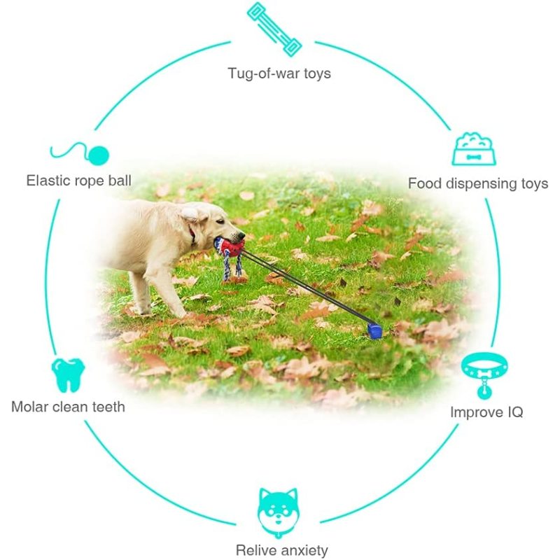 Dog-tug-of-war toy-Fix the tie-out stick on the lawn or soft ground, or directly wrap the elastic rope