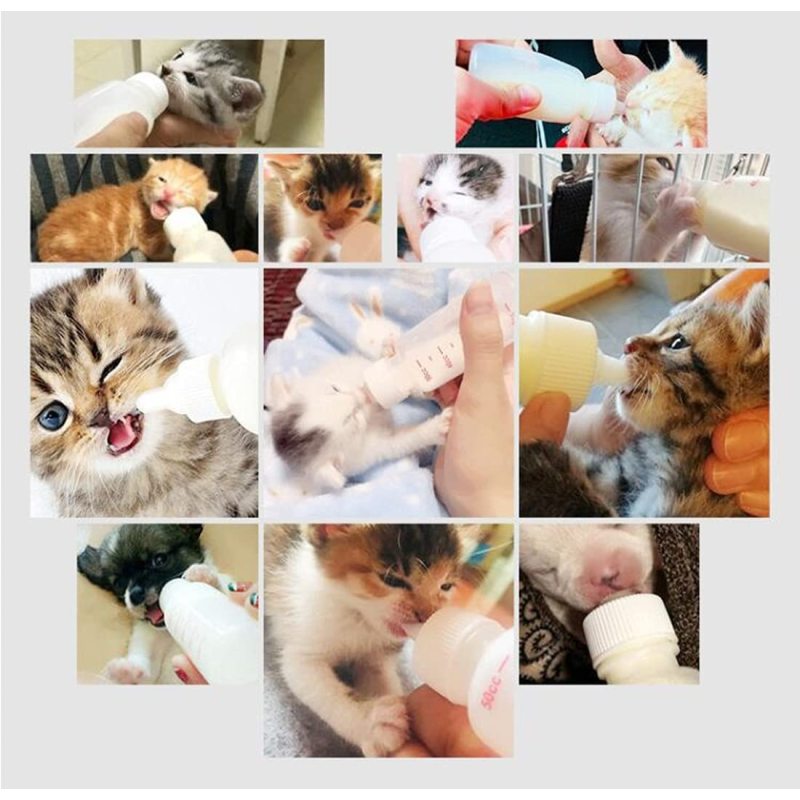 DoubleWood Pet Nursing Bottle Kits Nursing Bottle Kits Replacement Nipple Cat Feeding Bottle for Newborn Kittens, Puppies