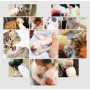 DoubleWood Pet Nursing Bottle Kits Nursing Bottle Kits Replacement Nipple Cat Feeding Bottle for Newborn Kittens, Puppies