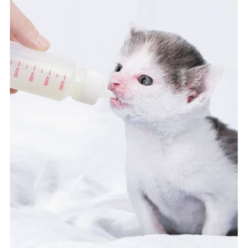 DoubleWood Pet Nursing Bottle Kits Nursing Bottle Kits Replacement Nipple Cat Feeding Bottle for Newborn Kittens, Puppies