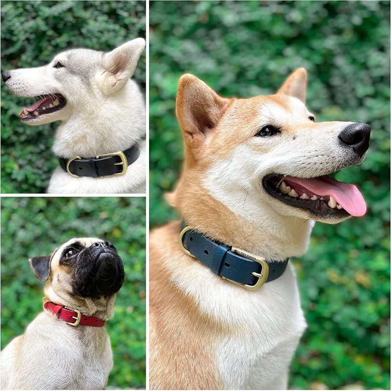 Heavy Duty Dog Collar 100% Waterproof & Odor Proof Dog Collar Tough Rust-Proof All Metal Hardware