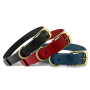 Heavy Duty Dog Collar 100% Waterproof & Odor Proof Dog Collar Tough Rust-Proof All Metal Hardware