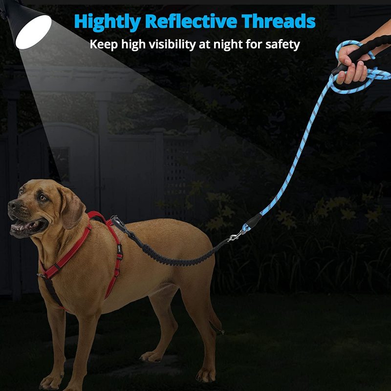 Comfortable Padded Handle Reflective Bungee Dog Leash  for Walking