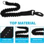 Comfortable Padded Handle Reflective Bungee Dog Leash  for Walking
