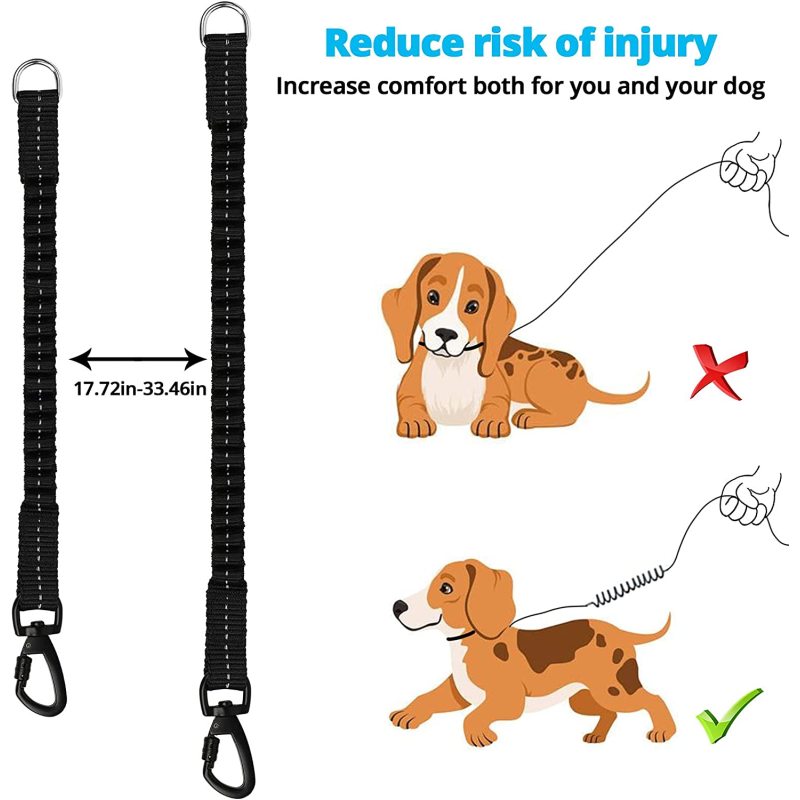 Comfortable Padded Handle Reflective Bungee Dog Leash  for Walking