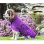 Wholesale Dog Bathrobe Towel Soft Quickly Absorbing Water Fiber Pet Grooming Supplies Pet Drying Towel Robe Dog Bathrobe