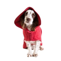 Wholesale Dog Bathrobe Towel Soft Quickly Absorbing Water Fiber Pet Grooming Supplies Pet Drying Towel Robe Dog Bathrobe