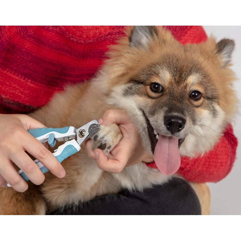 Paws & Pals Dog Nail Clipper Trimmer Scissors for Large or Small Cats and Pets Stainless Steel Grooming Tool with Safety