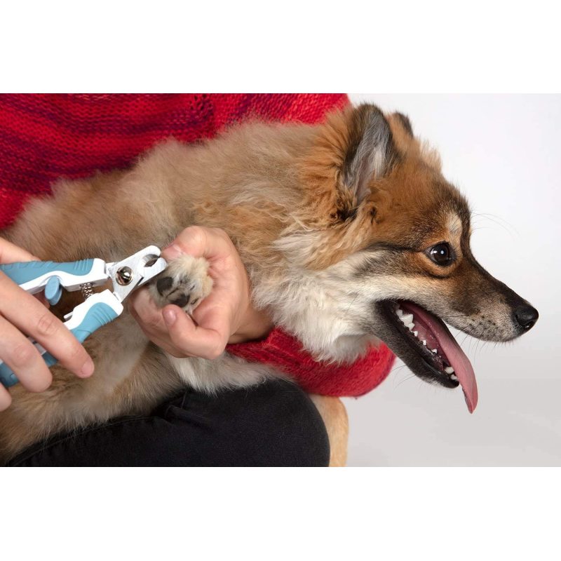 Paws & Pals Dog Nail Clipper Trimmer Scissors for Large or Small Cats and Pets Stainless Steel Grooming Tool with Safety