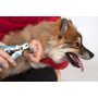 Paws & Pals Dog Nail Clipper Trimmer Scissors for Large or Small Cats and Pets Stainless Steel Grooming Tool with Safety