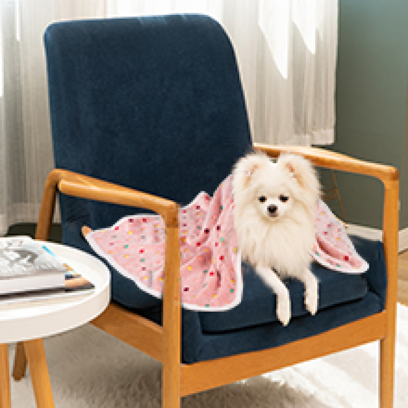 Dog Blankets for Small Dogs,Fleece Puppy Blankets Paw Print Pattern Throw for Pet, Small Dog Kitten Blankets Washable