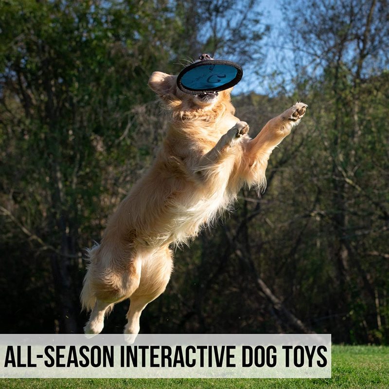 Pet Flippy Flopper Interactive Dog Toys Flying Disc Dog Fetch Toy