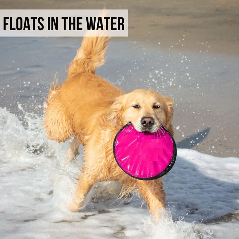 Pet Flippy Flopper Interactive Dog Toys Flying Disc Dog Fetch Toy