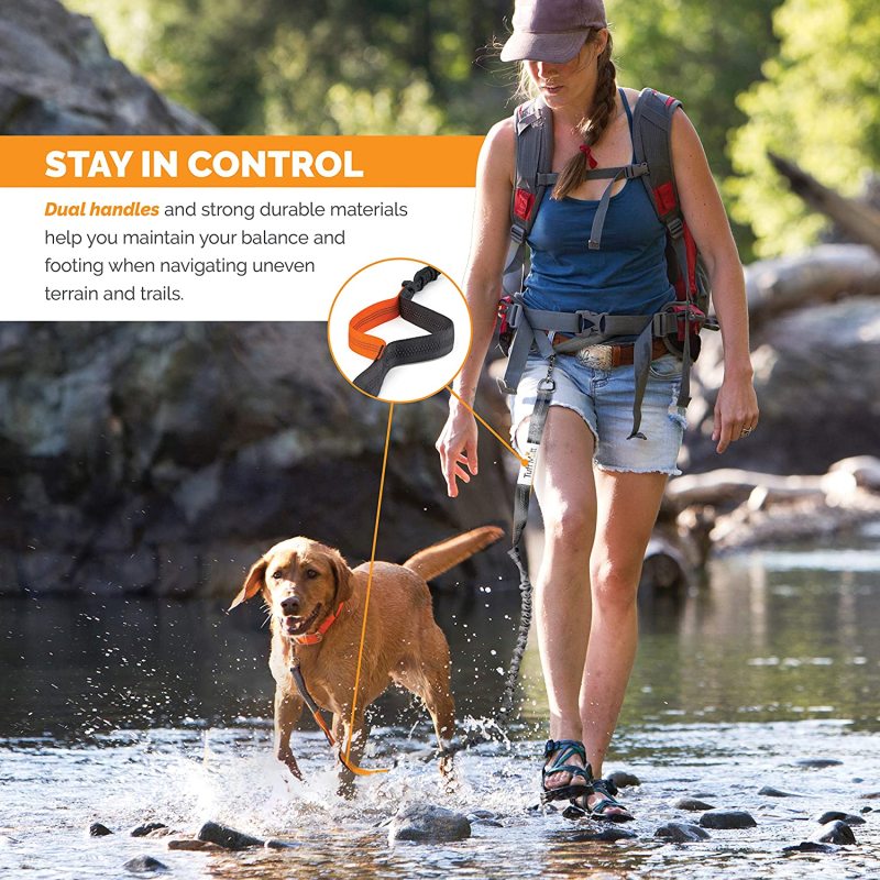 Reflective Stitching Running Hands Free Dog Leash Adjustable Waist Belt For Handle Bungee