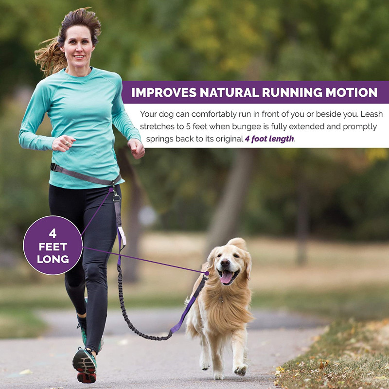Reflective Stitching Running Hands Free Dog Leash Adjustable Waist Belt For Handle Bungee