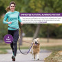 Reflective Stitching Running Hands Free Dog Leash Adjustable Waist Belt For Handle Bungee
