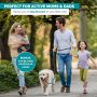Reflective Stitching Running Hands Free Dog Leash Adjustable Waist Belt For Handle Bungee