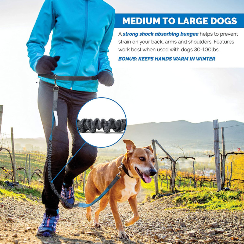 Reflective Stitching Running Hands Free Dog Leash Adjustable Waist Belt For Handle Bungee