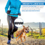 Reflective Stitching Running Hands Free Dog Leash Adjustable Waist Belt For Handle Bungee
