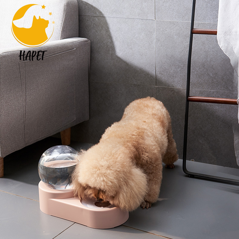 Raised Dog Food Water Bowl Pet Double Bowl for Cat Dog Pet Double Bowl Water Dispenser