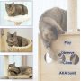 Cat Tree 4 Washable Cushions, Hammock and Scratching Posts Furniture for Kittens