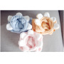 Dog Coat Dog Pajamas for Puppy Cute Design Pet soft Jumpsuit Sweatershirt Soft Fleece Hoodie Dog Clothes