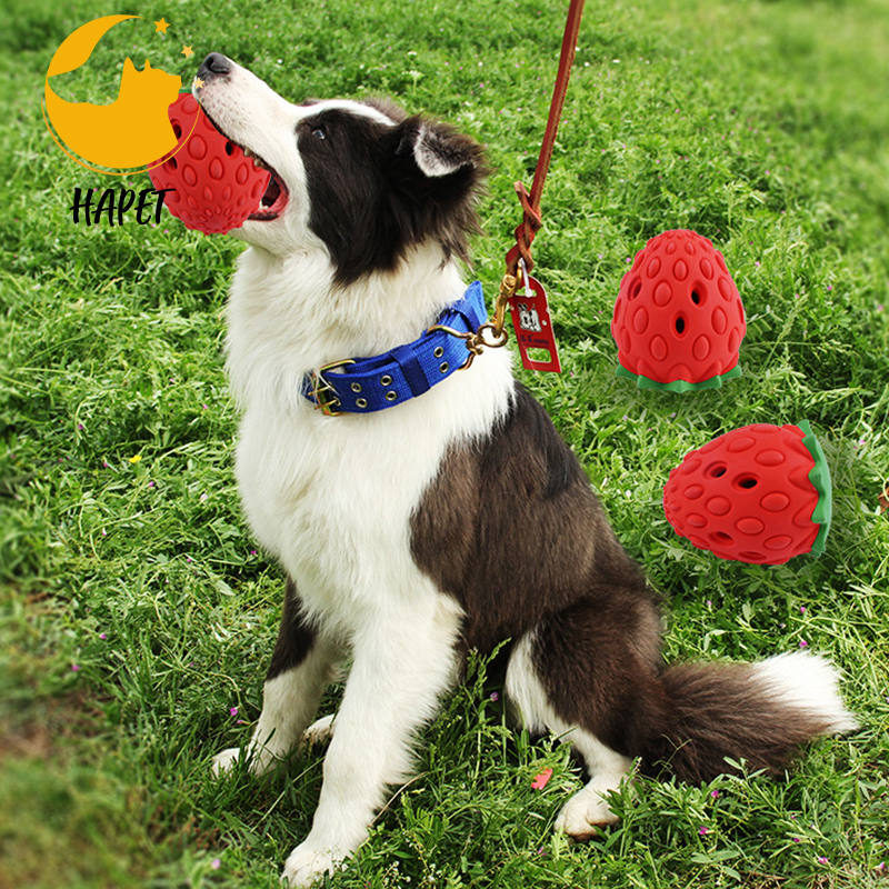 Strawberry Dog Chew Toy Durable Puppy Feeder Toys for IQ Training & Mental Enrichment