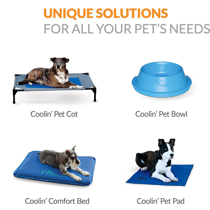 Pet Bath Blue Medium Dog Pool For Pet Clear and Swim